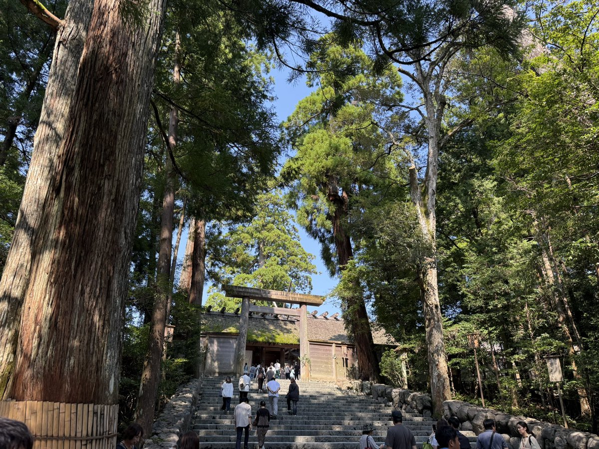 jo_kakyo's tweet photo. これは三重 https://t.co/QVmyecAAiL