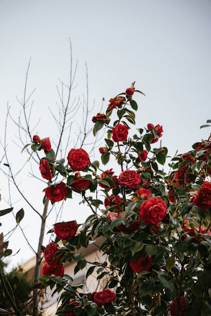 arthurha8mg's tweet photo. أنت مغناطيس يجذب مستقبلك. النجاح والحظ. النجاح هو مفتاح foster wasonفقط ينير الحياة في 🟪 العيون الصادقة. العلاقة يمكن أن parker cullifer https://t.co/kEV5D3WhOk