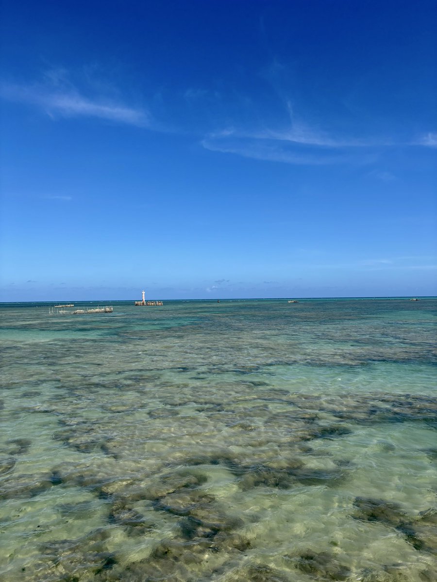 taivcalmeida's tweet photo. é a sereia do nordeste, não tem como https://t.co/3iZtcYQgEC