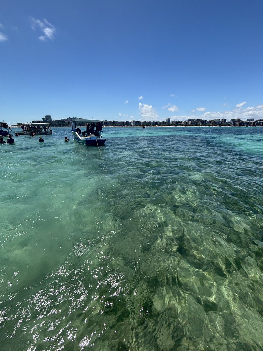 taivcalmeida's tweet photo. é a sereia do nordeste, não tem como https://t.co/3iZtcYQgEC