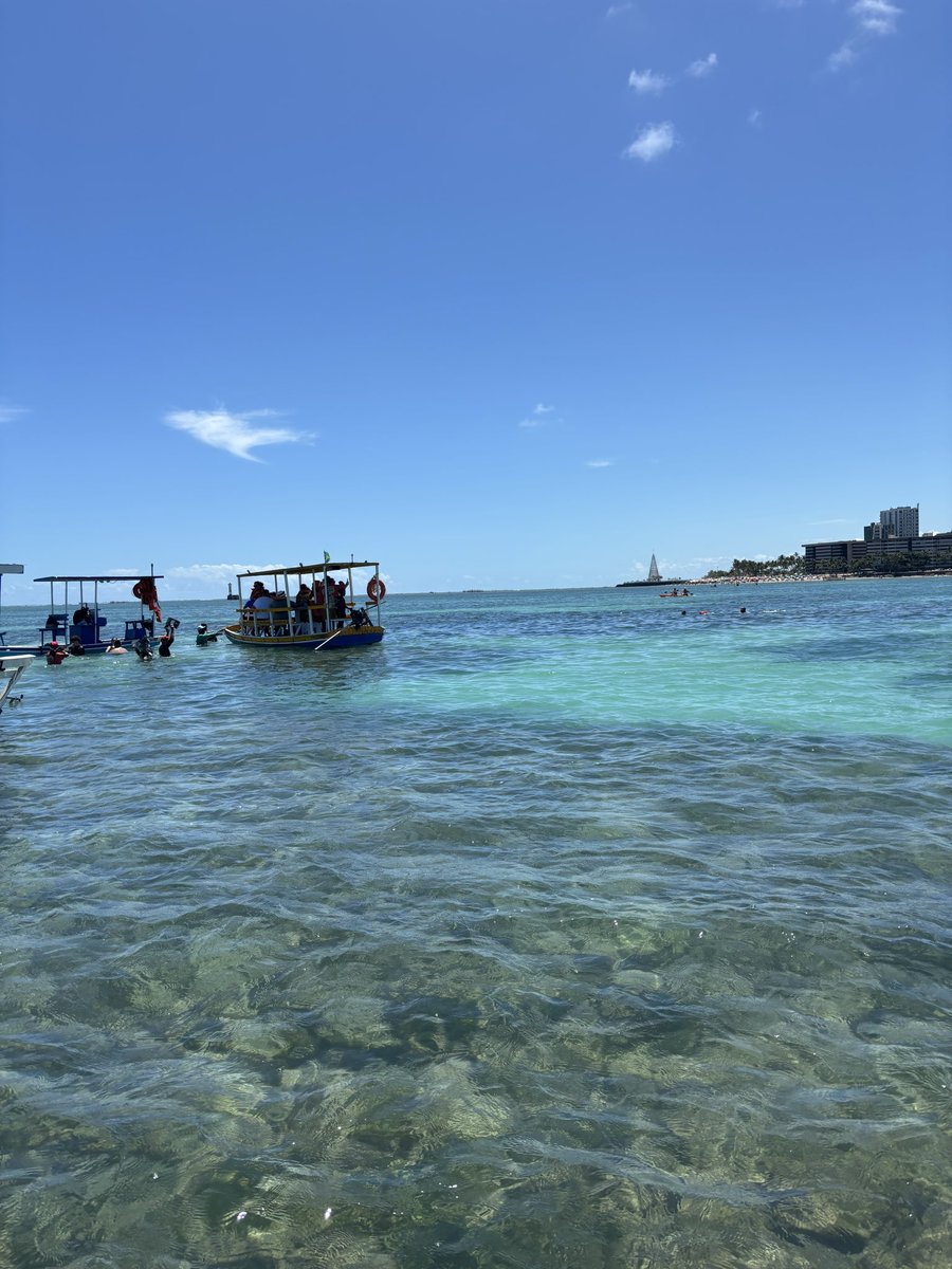 taivcalmeida's tweet photo. é a sereia do nordeste, não tem como https://t.co/3iZtcYQgEC