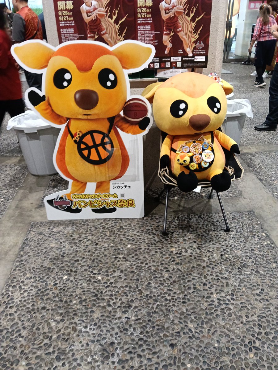 pomumu777's tweet photo. バスケの時間だああああああ https://t.co/lrcNXrkjQ1