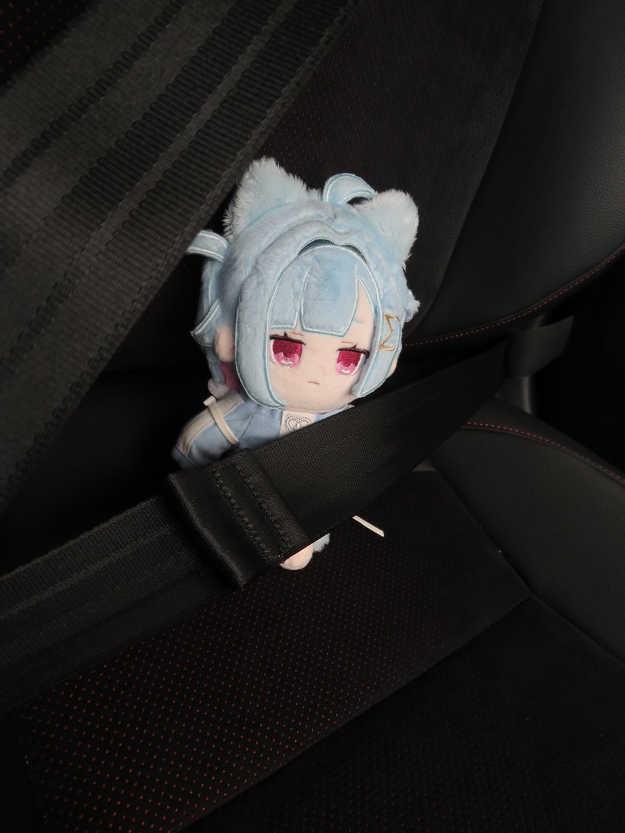 negitoroyuki's tweet photo. シートベルトした？しゅっぱーつ
#SΣARCH #しぐまの https://t.co/WrEzT9S1F9