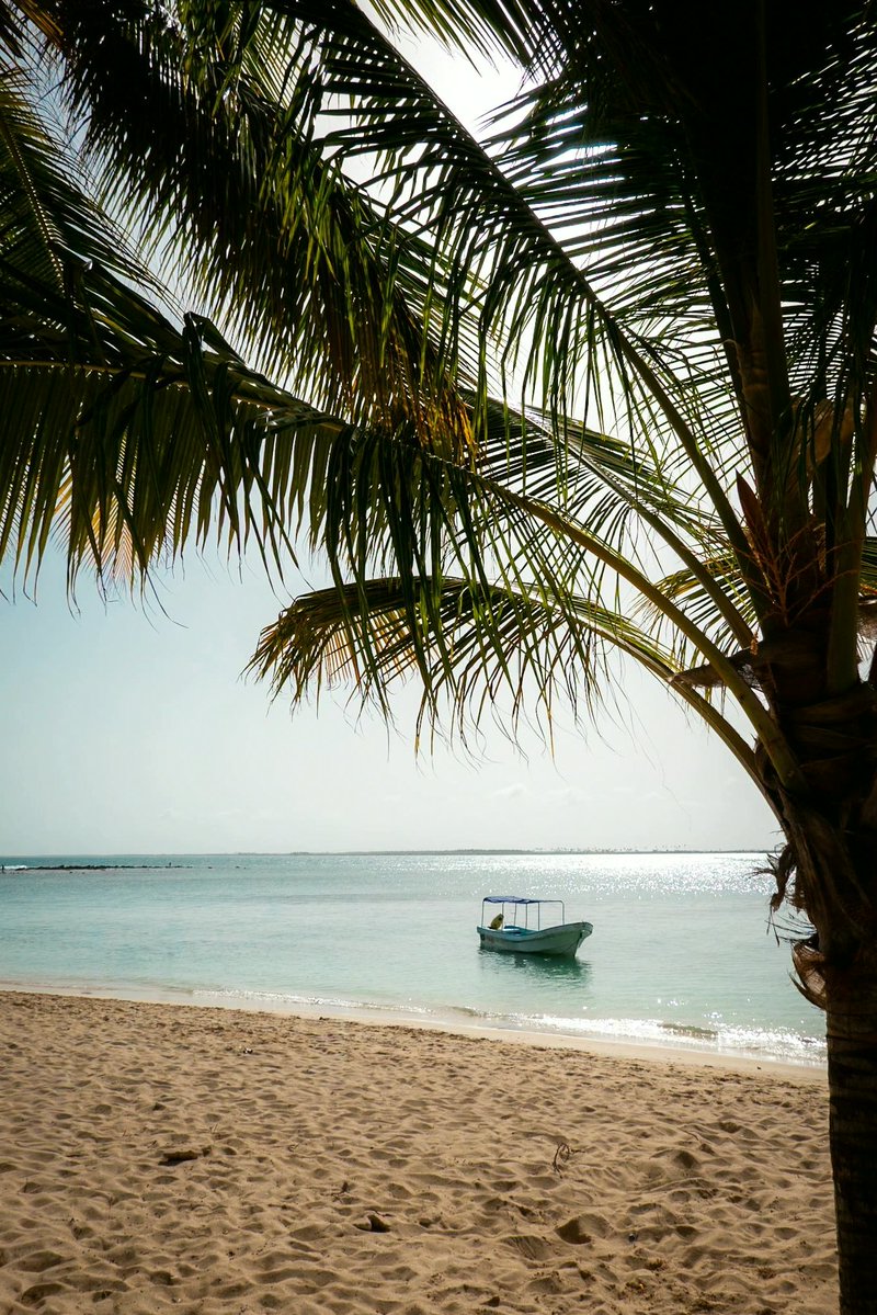 MichelleLexl2's tweet photo. Cayo Sal Morrocoy, Venezuela
#TechCareers https://t.co/Wyfz2wGprd