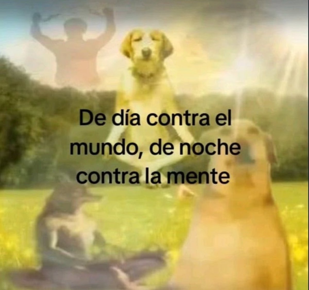 MarCrepusculona's tweet photo. https://t.co/0ALoTtJEw0