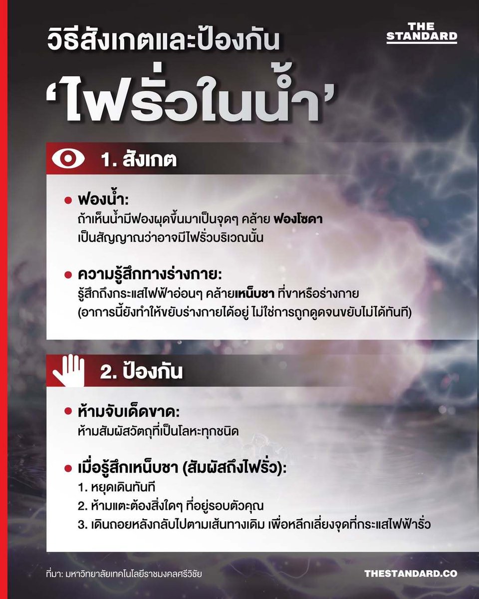 thestandardth's tweet photo. วิธีสังเกตและป้องกันไฟรั่วในน้ำ

ช่วงที่มีน้ำท่วมขัง 'ไฟรั่ว' คือภัยเงียบที่มองไม่เห็น แต่สามารถสังเกตและป้องกันตัวเองได้ด้วยวิธีดังต่อไปนี้

#น้ําท่วม #ฝนตก
#TheStandardNews https://t.co/EBdd2WMqal