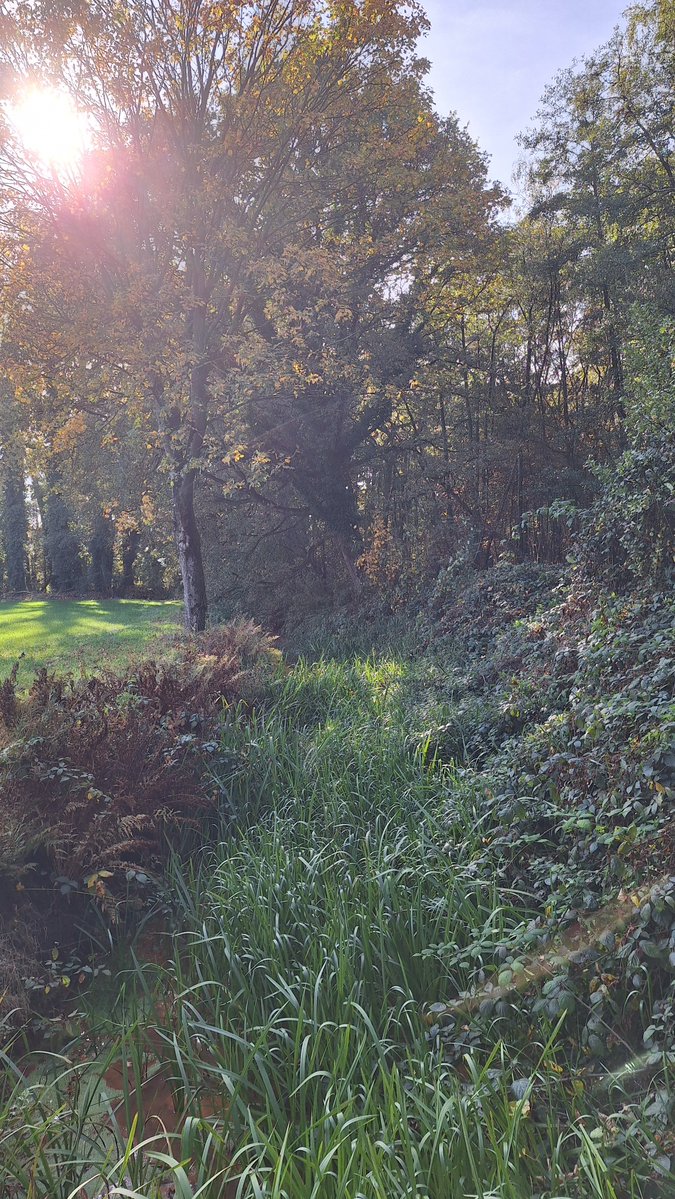 Aesthetic1333's tweet photo. .
The morning sun filters through the trees, a quiet invitation to ground ourselves.
Between clarity and mystery, find your balance today.
Take a breath and let nature slow your thoughts. 🍂✨
#MorningReflection #Mindfulness #NatureCalm
. https://t.co/xOgrQnqp6H
