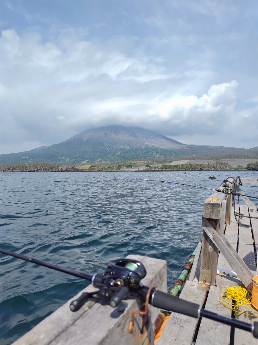 datz_mk2's tweet photo. 久しぶりの鹿児島釣り
カワハギ1枚だけだけど釣れてよかった https://t.co/rPAMHy7K6E