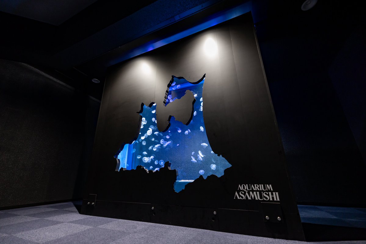 tan_sui_kabutz's tweet photo. 青森県には青森型のクラゲ水槽があります
#浅虫水族館 https://t.co/c4DWYX66O0