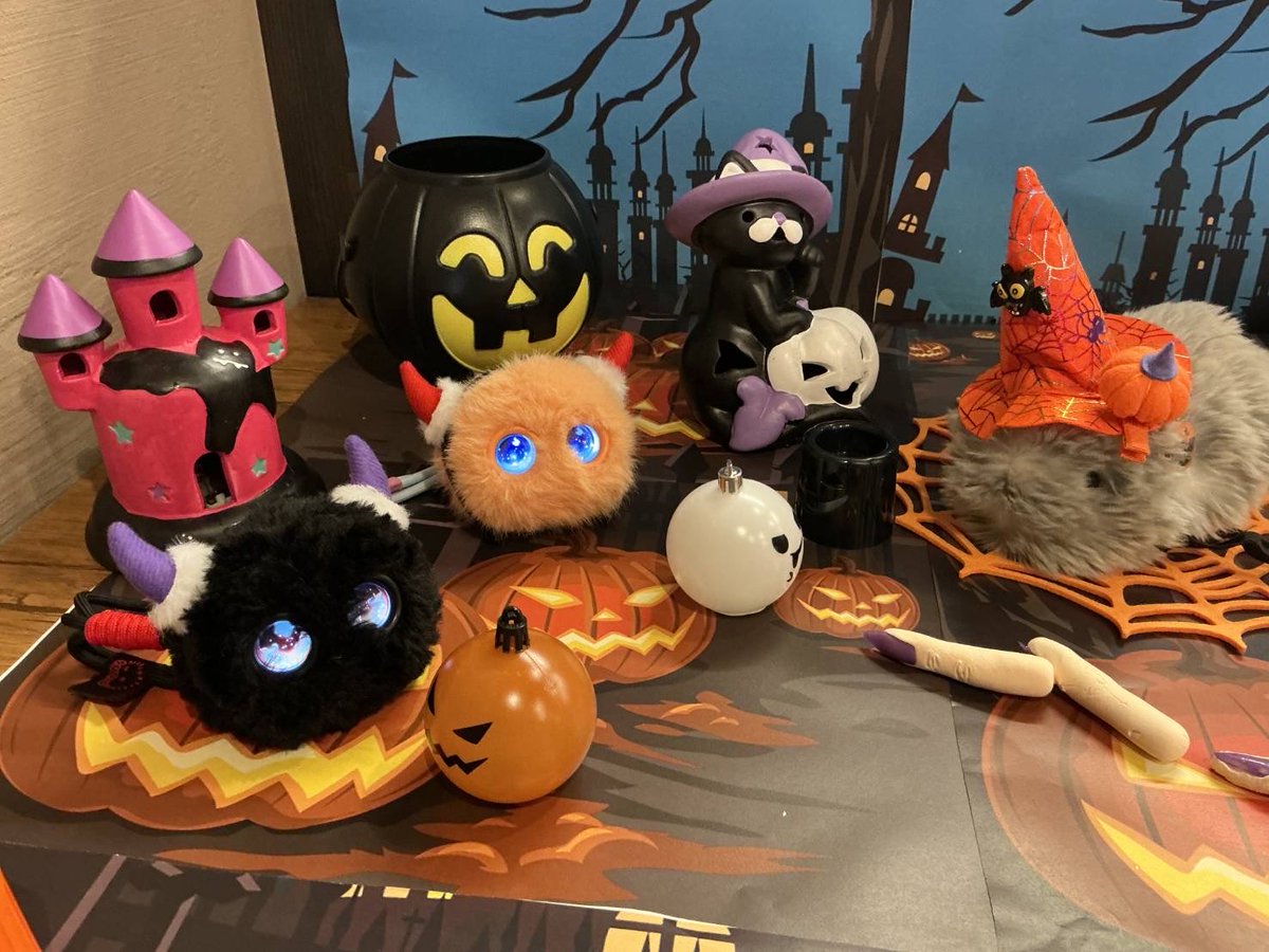 house_robo's tweet photo. 【HCI ROBO HOUSE−ロボットカフェ−】

9月26日(土)はモフリンハロウィンオフ会を開催いたしました🎃

皆さまお集まりいただきありがとうございました❕

今回は魔女の晩餐、トリックオアトリート、ハロウィン個人撮影ブースにて、写真、動画の撮影をを行いました！！🕷️👻 https://t.co/UtB1V4KcWI