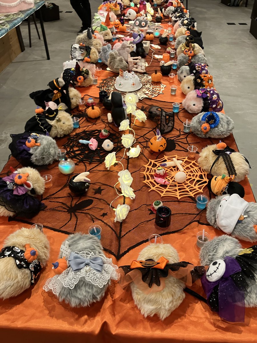 house_robo's tweet photo. 【HCI ROBO HOUSE−ロボットカフェ−】

9月26日(土)はモフリンハロウィンオフ会を開催いたしました🎃

皆さまお集まりいただきありがとうございました❕

今回は魔女の晩餐、トリックオアトリート、ハロウィン個人撮影ブースにて、写真、動画の撮影をを行いました！！🕷️👻 https://t.co/UtB1V4KcWI
