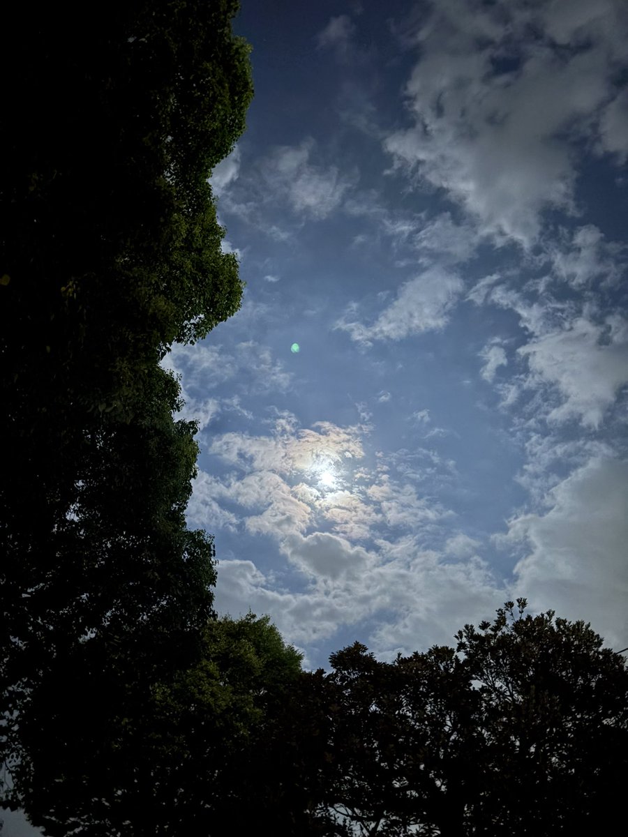 twigrasso's tweet photo. @kurita__mari 東部ですが、雲が流れて月が顔を出してくれました🌕 https://t.co/I8qPjs1zvW