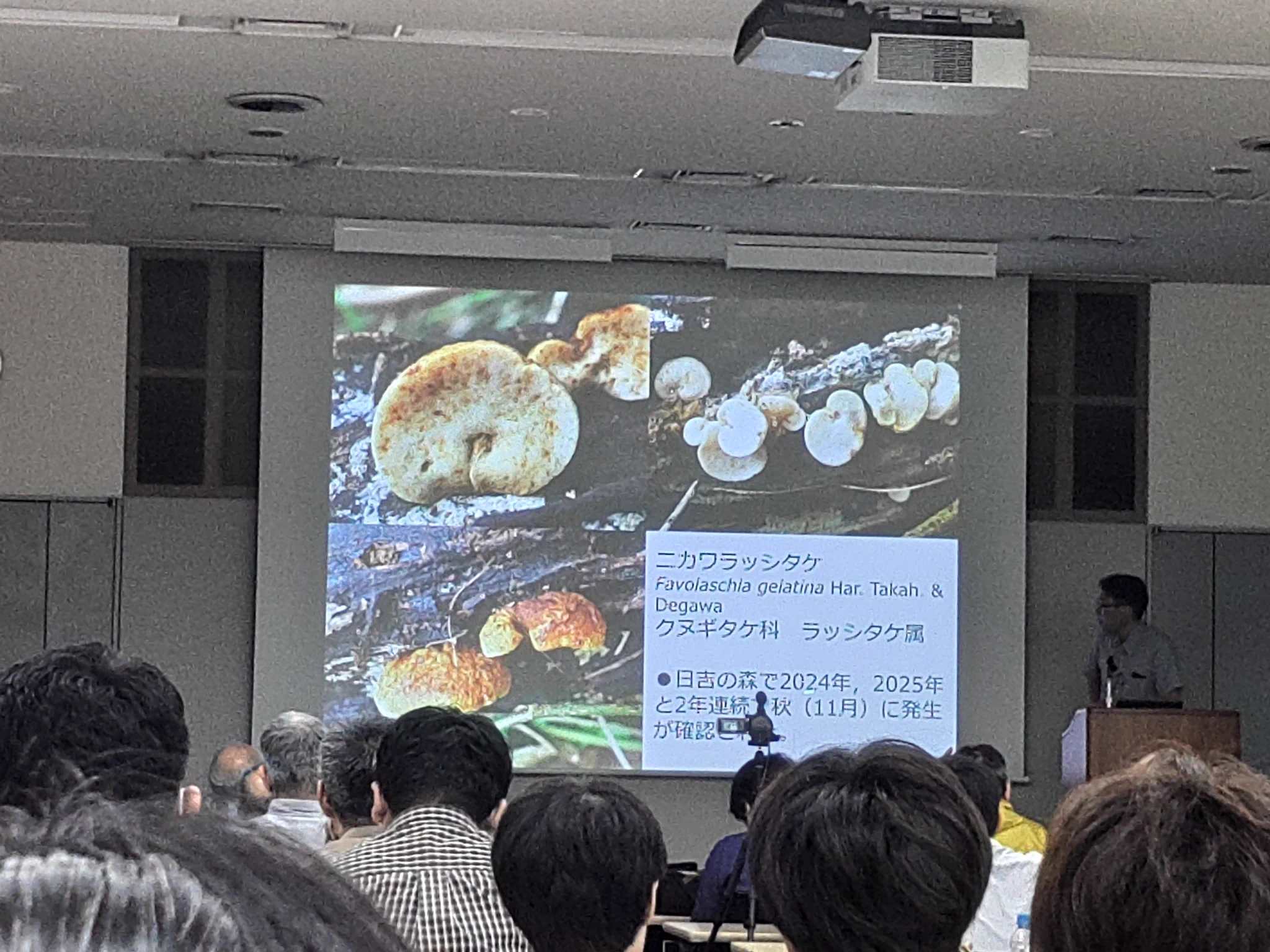 日本菌学会on X / X