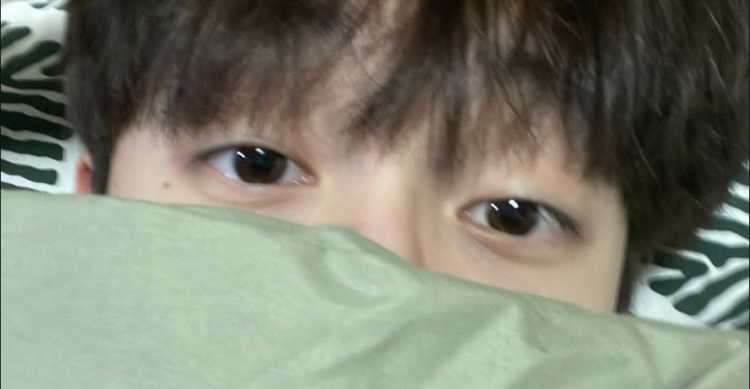 hongChogu's tweet photo. 집갈램 https://t.co/MzfpTHJbDt