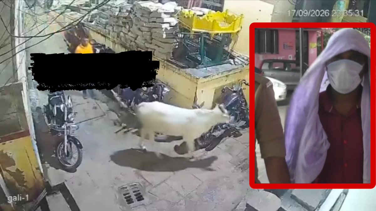 Delhiite_'s tweet photo. Man Arrested After CCTV Catches Him Abusing Cow.

📍Varanasi, UP

A 45-year-old government hospital worker Pradeep Kr Rawat was arrested after CCTV footage of him allegedly assaulting and molesting a cow at Ramghat went viral.

He reportedly confessed, claiming he was under the influence of cannabis (Ganja). Police have registered cases under the Animal Cruelty Act and BNSS sections.