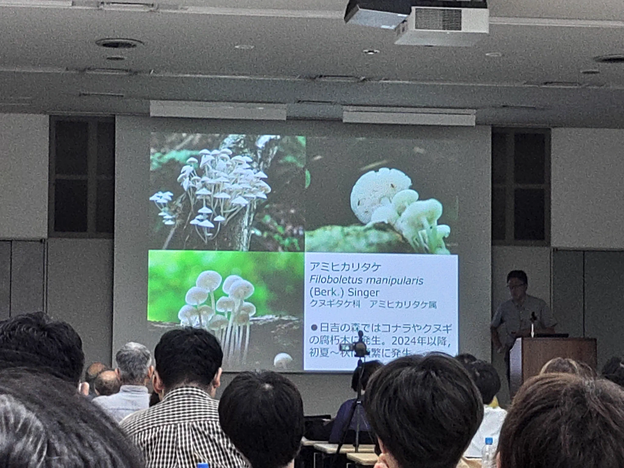 日本菌学会on X / X