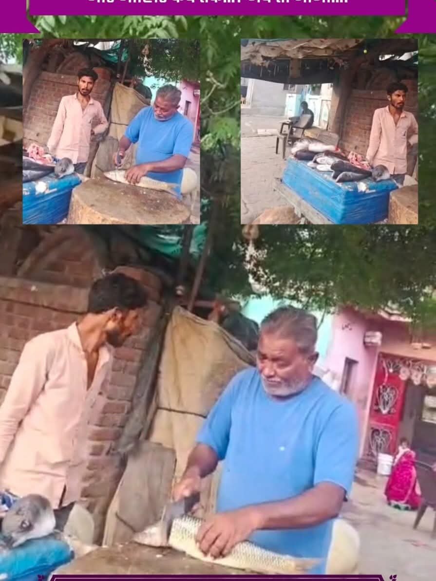 TanviSolanki_'s tweet photo. Very disturbing pictures in the most pious Jain Tirth Palitana.
So many nonveg shops in Palitana !
😰 it's extremely disheartening and unacceptable, we demand urgent action on this matter. 
Who gave them licence to open the shops there? 
sri @Bhupendrapbjp ji @sanghaviharsh ji https://t.co/psqTtL8fKA