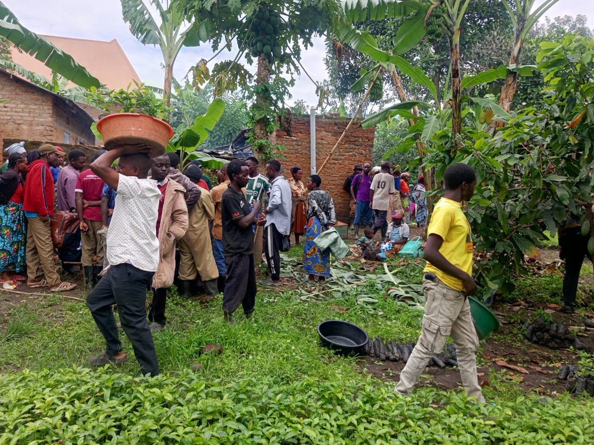 RudeMondayJ's tweet photo. I am incredibly pleased to announce the successful delivery of 6,000 coffee seedlings to the community of Kyarumba Sub-County yesterday Friday 25th September 2026.

Coffee is the backbone of our local economy in Bukonzo County East, and boosting its production remains one of my top priorities. 

While this delivery is a step in the right direction, I am fully aware of the overwhelming demand on the ground. We are planning for further allocations to ensure that every farmer who missed out in this batch is reached and supported until we hit our 50,000 seedlings mark.