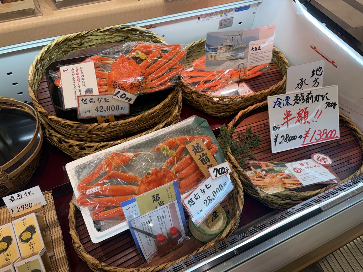 gaiko_wc's tweet photo. ウィンドウカニショッピング https://t.co/eZgBXubKRD