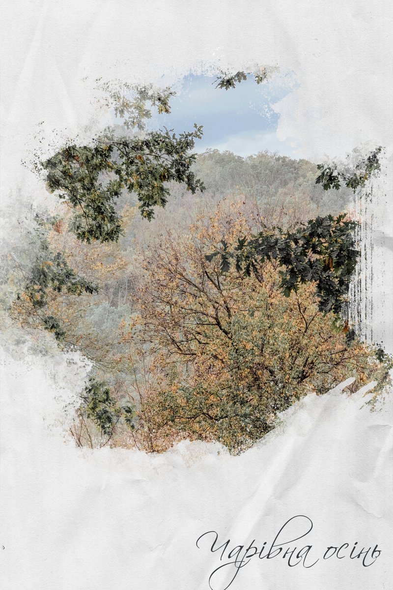 NoxLumen31's tweet photo. Чарівна осінь 🍂 https://t.co/JGvwpTqZrD