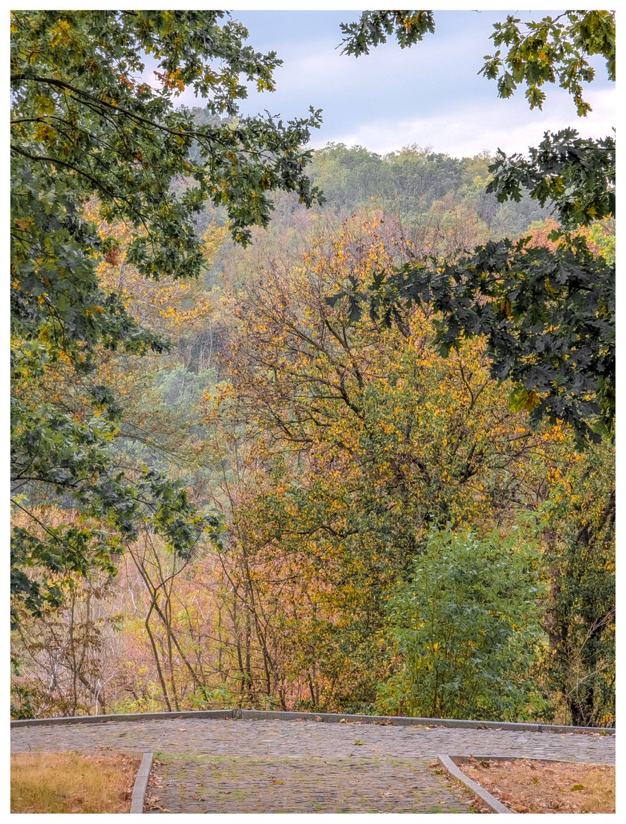 NoxLumen31's tweet photo. Чарівна осінь 🍂 https://t.co/JGvwpTqZrD