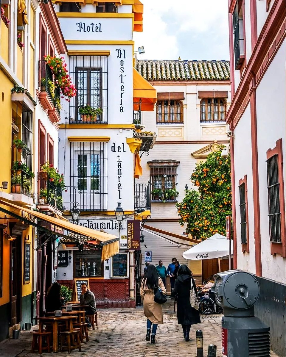CarterCope90mg's tweet photo. [Hoy recorrimos las calles empedradas de Sevilla, tomamos café con churros al sol y guardamos un recuerdo de cada rincón de esta ciudad llena de encanto.  #ViajePorEspaa] https://t.co/W21rRPAQMO