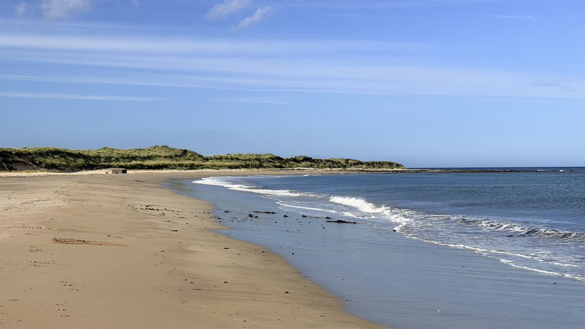 RuthlessTweets's tweet photo. Yesterday’s walk was mainly along beaches. Golden sands and wonderful waves. #LoveScotland #WalkingIsGoodForYou https://t.co/ItQGaxR5Is