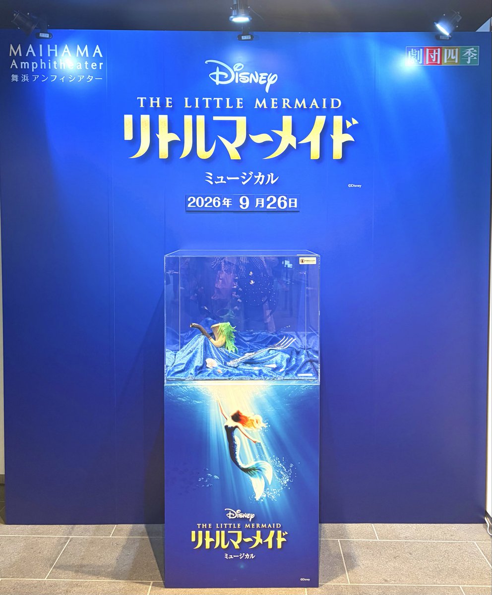 mm_pm3's tweet photo. リトルマーメイド🧜‍♀️9.26マチネ

抽選で頂けた超良席のうち、1回でも志音ちゃんアリエル見れたらいいなあと思っていたら、早速来てしまった 可愛すぎるよ🥹🥹

自分の遥か上で泳いでるフライングを見上げると本当に海の底にいるみたい https://t.co/yH7WNu4THB
