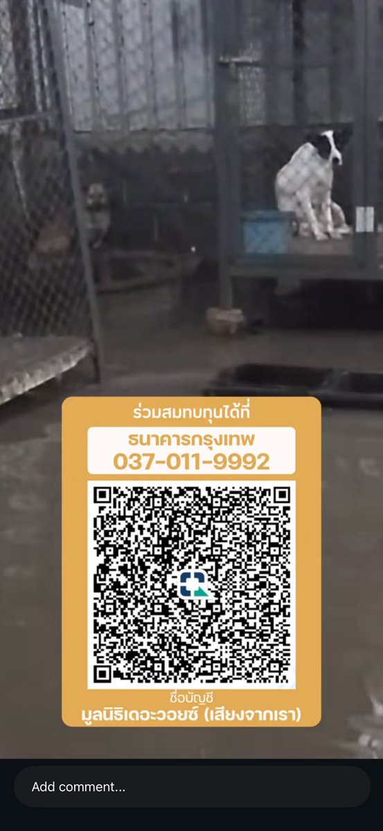_summerdecember's tweet photo. 📢 💥 ประชาสัมพันธ์ The Voice Foundation ขอระดมทุนช่วยเหลือน้องหมาในบ้านพักพิงสุนัขที่เกิดน้ำท่วมขัง 🐕🐾 รวมถึงน้องหมาน้องแมวอีกหลายๆ ชีวิตที่อยู่ในความดูแลของมูลนิธิ

ขอทุนสนับสนุนเป็นค่าใช้จ่ายเรื่องอาหาร ยา และการดูแลพื้นที่ของน้องๆ ค่ะ

ร่วมสมทบทุนได้ทาง
ธ.กรุงเทพ 
037-011-9992

#น้ำท่วม
