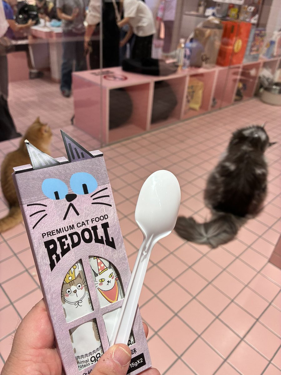 euamo520's tweet photo. とても可愛い猫です https://t.co/C19gDd6D7q