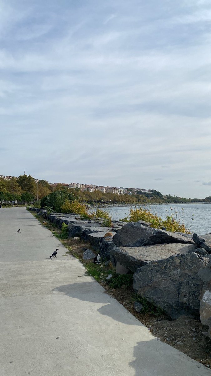 allptraumee's tweet photo. kafayı dağıtmak için sahil kenarında atılan adım sayısı

📍 20.301 https://t.co/ebSkYh2VmU