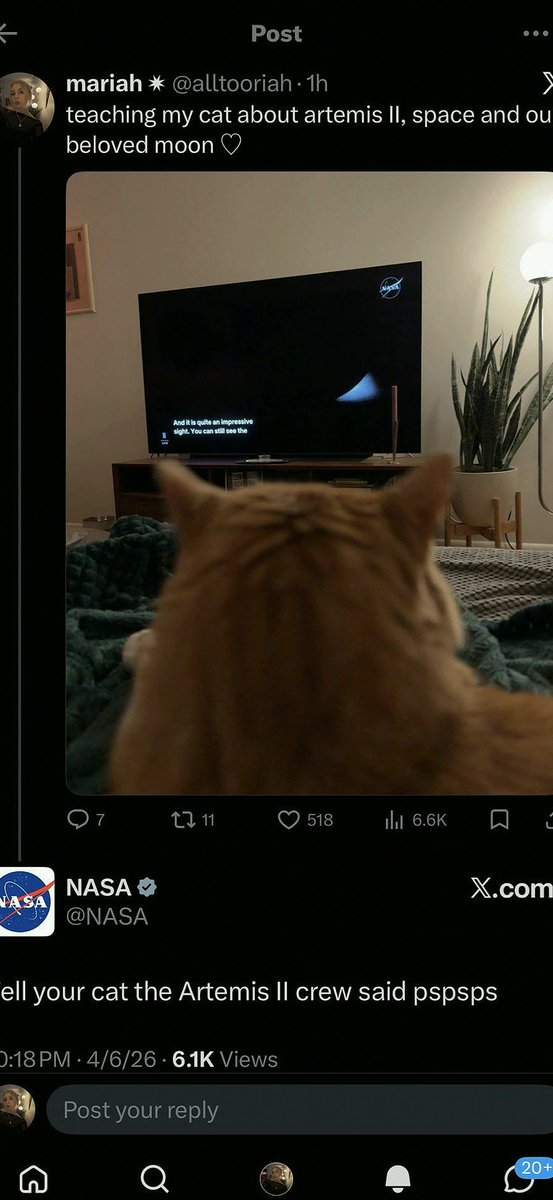 alvesantoidasg's tweet photo. Artemis II crew sent a message to kitty
#IncredibleMoments #FortressName https://t.co/Q6ujXDidjY