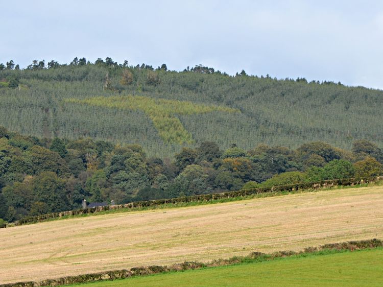 welovedonegal's tweet photo. Yesterday's #WhereInDonegal
from #WeLoveDonegal 💚💛
was the 100m/328 feet tall Emery Celtic Cross, Bogay, #Killea #Newtowncunnigham Named after the genius Liam Emery (1959-2010) who created using 3000 trees of 2 different species.
Sadly he died before he saw it.
#Donegal . https://t.co/T5pZ1BqtYi