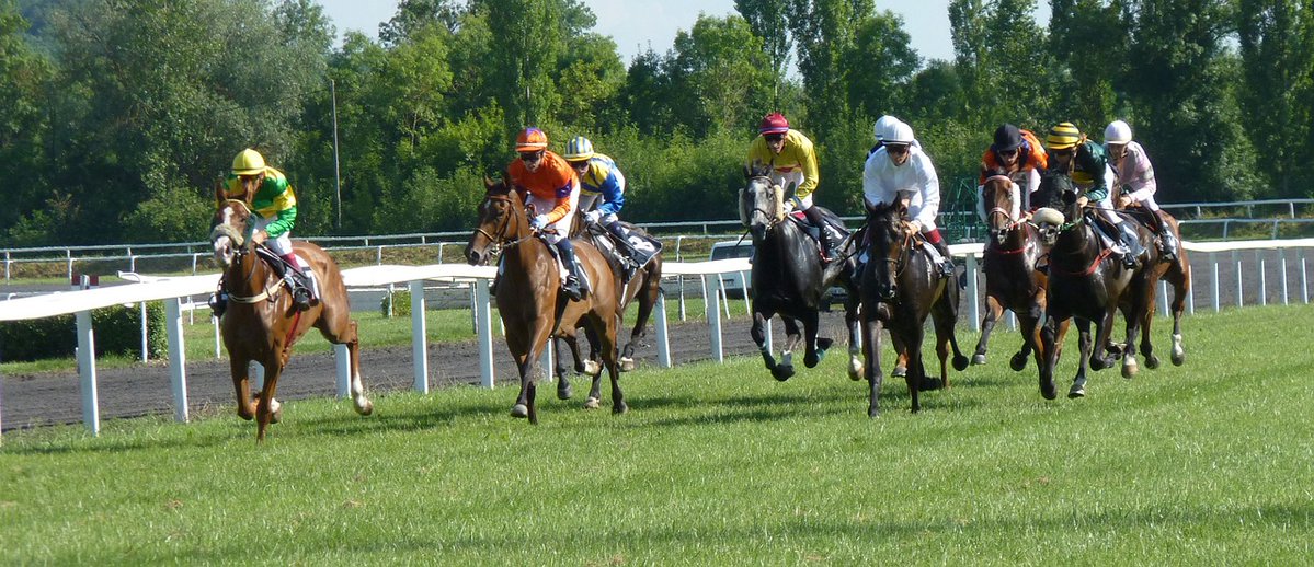 red_dragon3112's tweet photo. Here is today’s nap of the day

No1 AL SAMSAMA at 8/1 in the 1.22 at Newmarket

And a double

No1 CAMARDA RC at 7/2 in the 4.00 at Haydock

No9 HUSCAL at 6/1 in the 4.50 at Newmarket

Good luck

#reddragonsportstipping #winningbets #horseracing #theracingchannel #racingpost #newmarket #haydock #curragh #listowel #ripon #marketrasen

Red Dragon Sports Tipping
providing you with free tips each and every day of the week covering a wide range of sports

Click on the link below for more offers we provide
https://t.co/Njhm4VMUQP