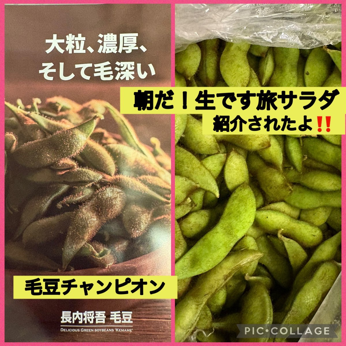 AomoriSouls's tweet photo. 青森Soulsです😊
青森の枝豆には毛がたくさん生えてる😆チャンピオンの毛豆は栗のようにほくほく、味も濃厚😋あるうちに是非‼️ご予約お待ちしてますo(^-^)o
#青森
#亀戸
#毛豆 https://t.co/bdM67xZlfI