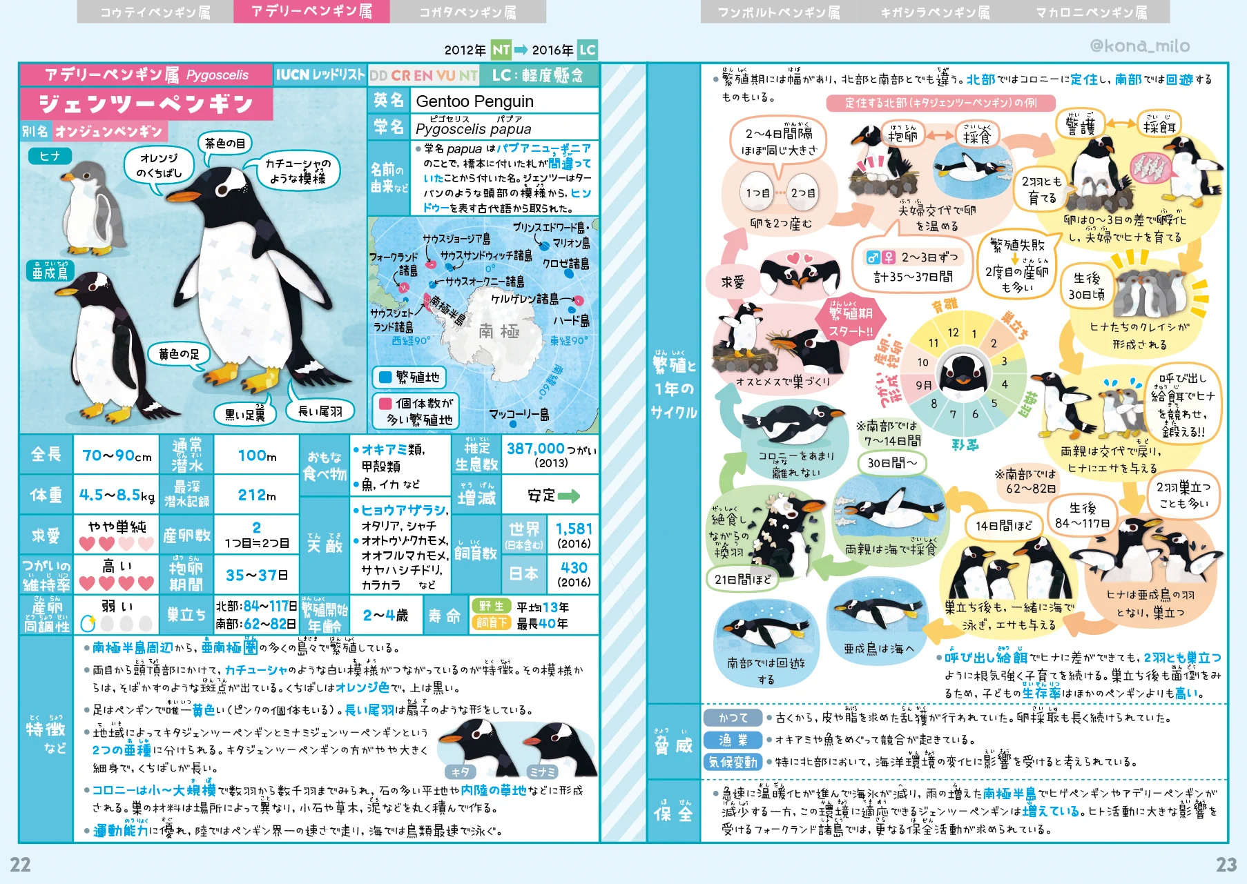 ペンギンページ キクチミロ on X: 
