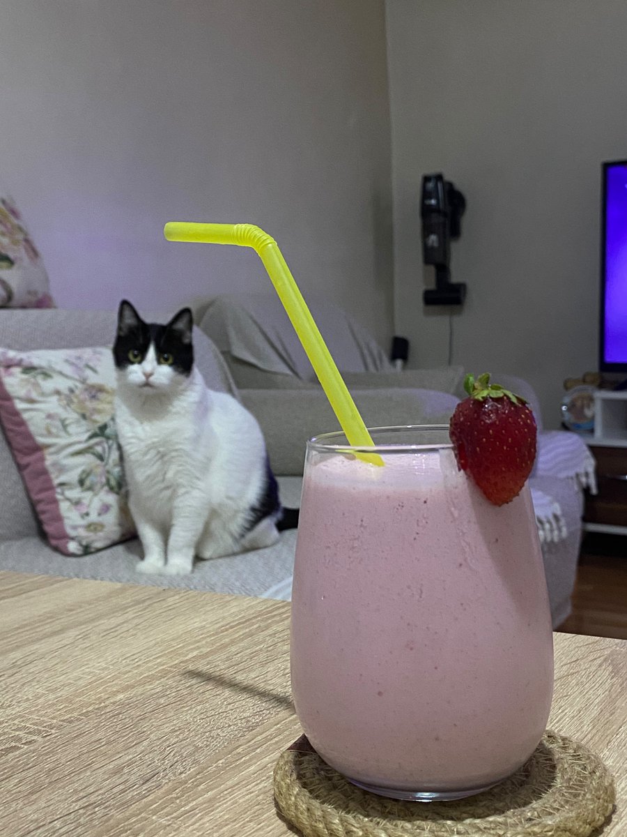 YErsoy's tweet photo. Günaydın Şans! 🐈

#Cumartesi #türkiyefransa #TürkDilBayramı #sondakika #gündem #yağmur #sonabahar
Stajyer Çırak Haklı
#3308deçalışmaVar
#TamSigortaYok https://t.co/oFrxGBS7O9