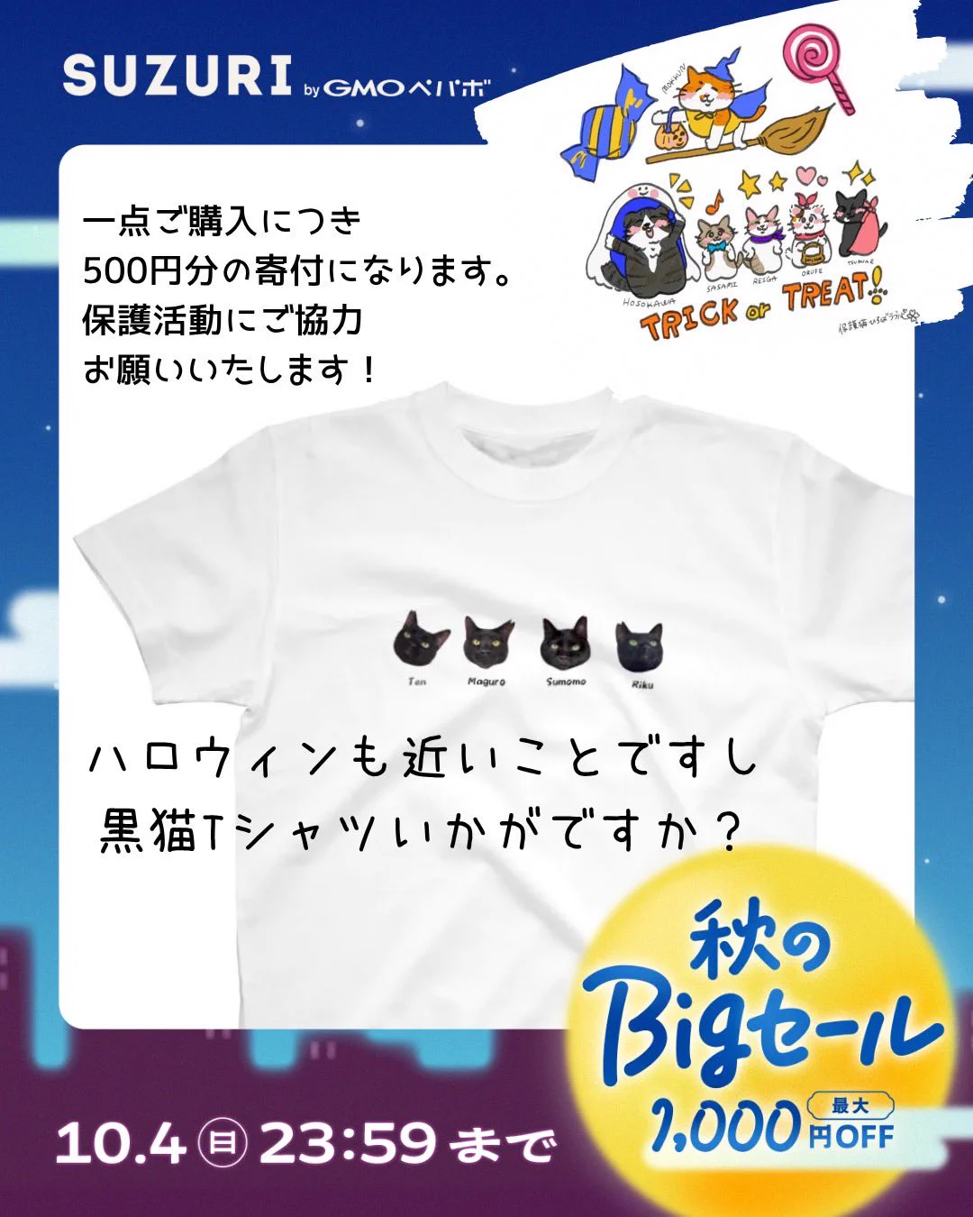 NPO法人 保護猫ひろばラブハピ on X: 