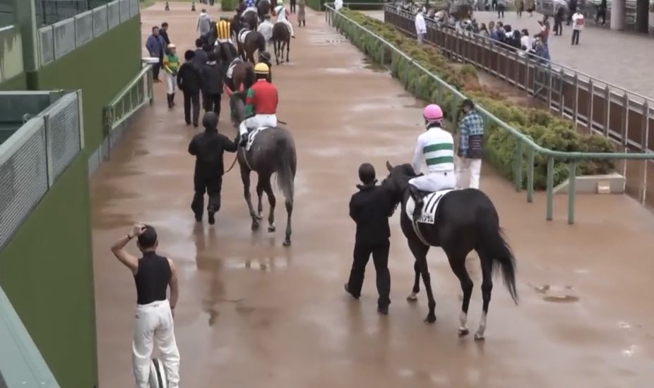 wp3qhjwap's tweet photo. 中山2Rの本馬場見返してたら
普通にセグウェイ江田照男も一緒に
本馬場入場してたんだが https://t.co/8opCRKg2UG