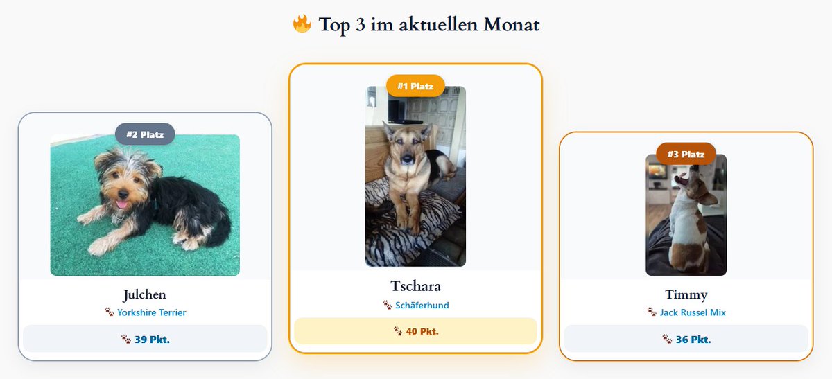 Hundevoting's tweet photo. Das Rennen im September wird wieder ein echtes Kopf-an-Kopf-Rennen! Wer schafft es diesmal in die Hall of Fame von https://t.co/Ldz1gbw1D9? 📷📷
📷 Jetzt mitvoten
#Hundevoting #HallOfFame #Hundefotos #Hundewettbewerb #Tierliebe #HundeAufInstagram #Hundefans #Tierschutz #Voten https://t.co/hbGF09dmCU