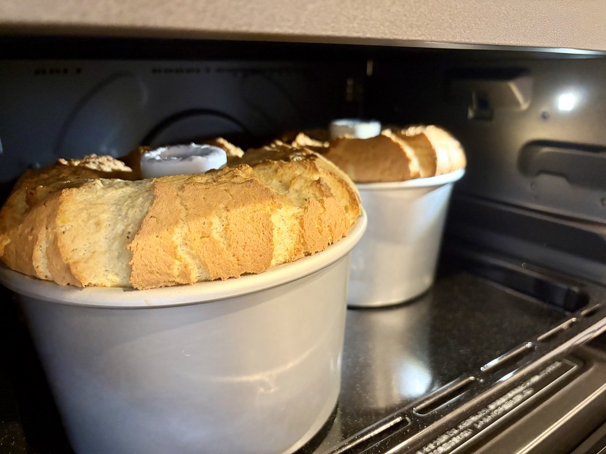 SERS43541322's tweet photo. Iyokan Chiffon Cake🍊
Delivery Service to home party with Whipped cream

 #Homemade 
 #Orangepeel 
 #ChiffonCake
 #Citron
 #豆乳シフォンケーキ https://t.co/wu2qtoFkSv