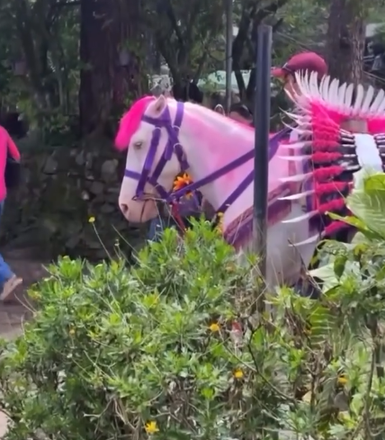 Just_a_GA_Snail's tweet photo. @RockHardEyn @getoutofjp @RamenSenpai666 @guyfar111 @mikuneki They own it? That horse girl is not based in any uma musume character, so cygames or japanese owners have no reason to be mad, is basically an OC.

Is more like a generic depiction, not an specific horse, because I can't tell if this one or these. https://t.co/EdC7JK0ZyR