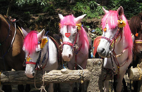 Just_a_GA_Snail's tweet photo. @RockHardEyn @getoutofjp @RamenSenpai666 @guyfar111 @mikuneki They own it? That horse girl is not based in any uma musume character, so cygames or japanese owners have no reason to be mad, is basically an OC.

Is more like a generic depiction, not an specific horse, because I can't tell if this one or these. https://t.co/EdC7JK0ZyR