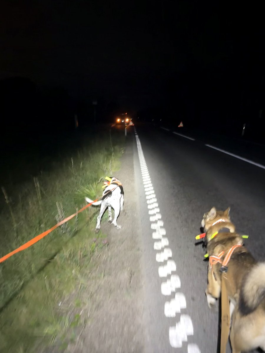 AndersDalenius's tweet photo. Sakta ner, pucko!
Mycket viltolyckor nu betyder att vi eftersöksjägare med våra hundar längs vägarna. Tyvärr är många av er skitdåliga på att sakta ner när ni ser oss, vilket både är dumt och farligt. Du hinner dit du ska ändå även om du tappar 5-10 sekunder. Lovar. ❤️ för RT. https://t.co/5Cvfc9xfpp