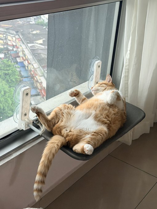 An orange and white tabby cat lounges luxuriously on a suction-cup window perch, stretched out on its back with paws in the air while gazing outside at the rainy view. The cozy scene perfectly embodies the lazy rainy day mood of the caption, with the cat making the most of indoor comforts despite the gloomy weather outside.
