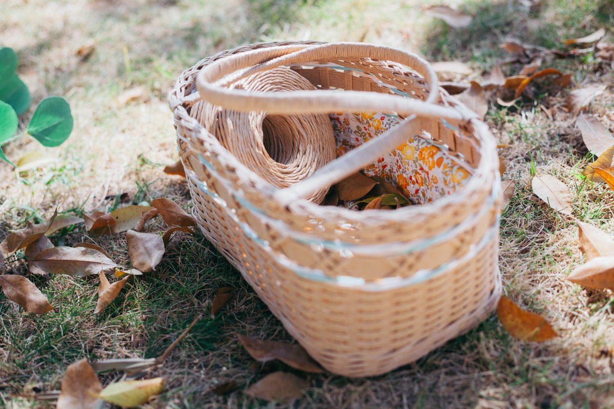 DarronInverso's tweet photo. DIY maceta de cartón reciclado: corta, dobla y decora con pintura! Un regalo ecológico para tus plantas y amigos ， https://t.co/g1JgrCzMD3