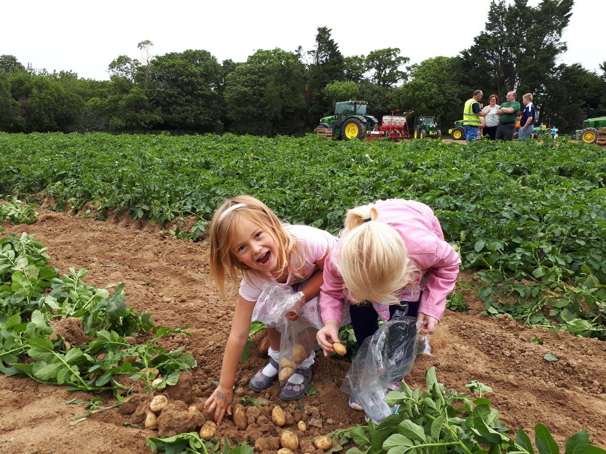 OpenFarmSunday's tweet photo. It’s #BritishFoodFortnight!
From farm-fresh British vegetables &amp; fruit to locally produced meat, milk &amp; cheese, this is a time to celebrate the people behind the food on our plates. Over the last 20 years, Open Farm Sunday has welcomed more than 3.6 million visitors onto farms. https://t.co/JPZwLsGjEE