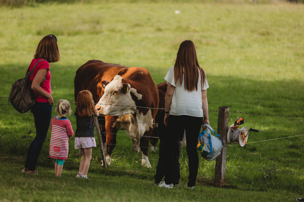 OpenFarmSunday's tweet photo. It’s #BritishFoodFortnight!
From farm-fresh British vegetables &amp; fruit to locally produced meat, milk &amp; cheese, this is a time to celebrate the people behind the food on our plates. Over the last 20 years, Open Farm Sunday has welcomed more than 3.6 million visitors onto farms. https://t.co/JPZwLsGjEE