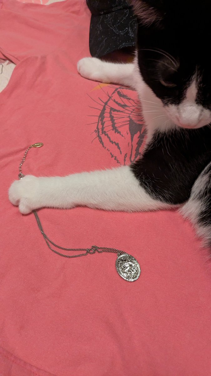 222405mirakul's tweet photo. みんにゃでしょこたんになっちゃおにゃんだふる🐈‍⬛🐾💗
今期mmtsさんで対象商品のお買い物をすると動物愛護週間のシールがもらえるにゃん🐾💗飾るもよき、貼るもよき僕はネックレスお気に入りだにゃ🐾
※翔子さんのお写真はYouTubeから引用だにゃ、同じアイテムだにゃ🐾🐈‍⬛
#mmts
#中川翔子 https://t.co/Wc4moGFuRB