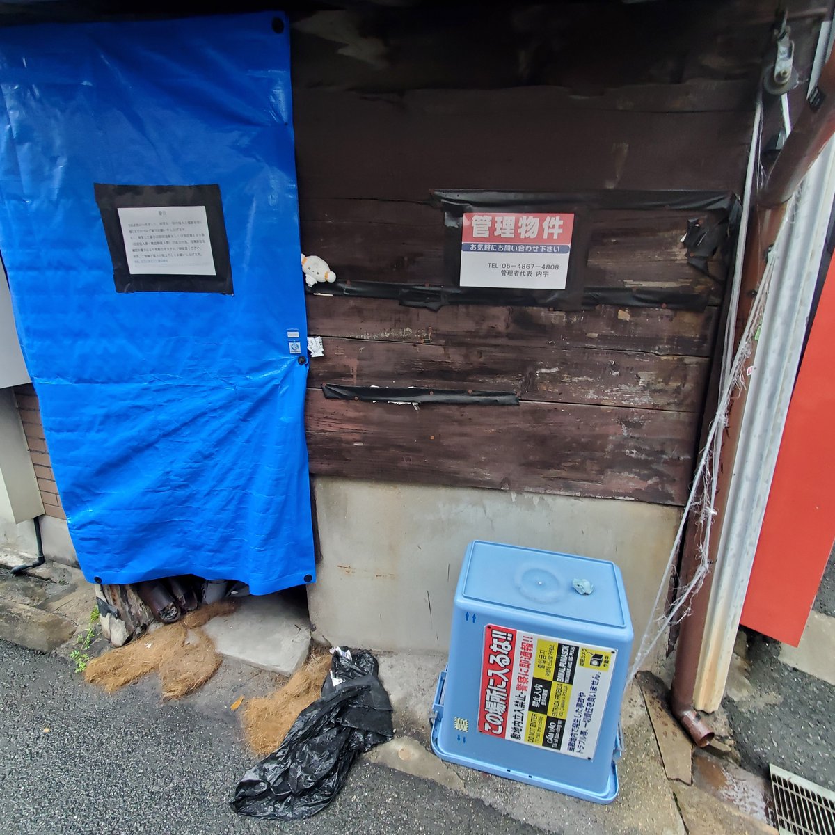 clgr141's tweet photo. ライブ前に行ってきました🤗
←1999展
→喫茶店 https://t.co/eop3cNNMkM